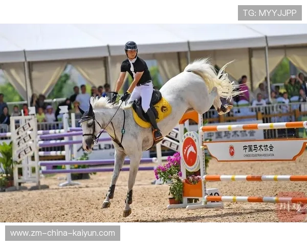 美国骑手吉塔·日特科维奇荣获2024年最佳障碍赛骑手奖，表彰其卓越表现。